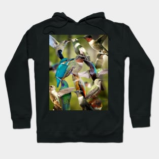 Humming Birds Hoodie